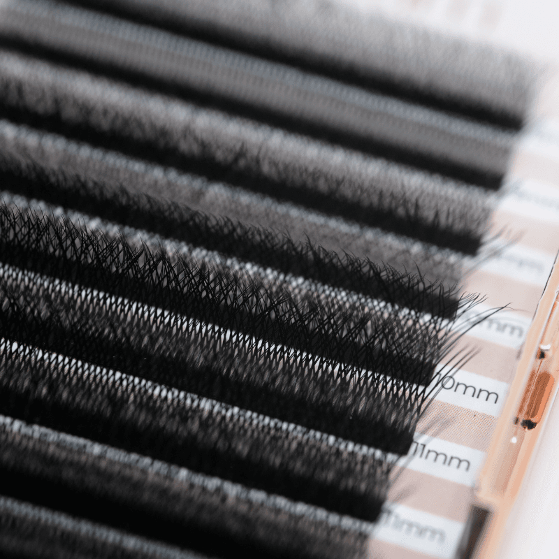 extension de cils W