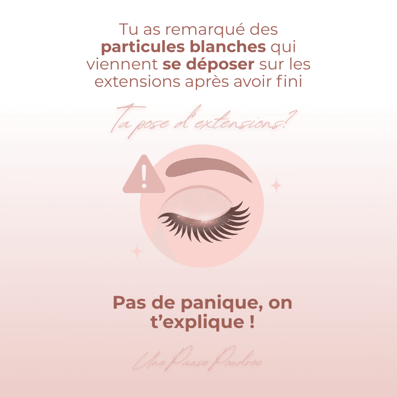 TOUT SAVOIR SUR NOS PINCES DOREES